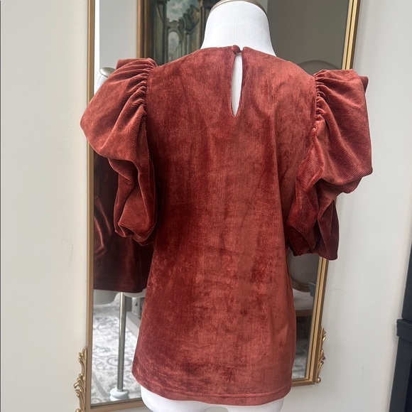 Elegant Rust Ribbed Velvet Top with Ruffled Sleeves - Picture 2 of 3